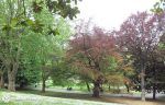 parque-arenal-bilbao-furgosfera