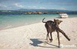 aireandoporelmundo-furgosfera-4