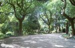 alameda-santiago-de-compostela