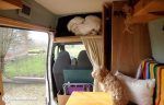 ford-transit-7