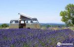 furgo-lavanda-furgosfera