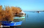 isla-de-buda-delta-del-ebro