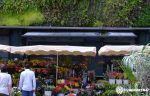 mercado-las-halles-furgosfera
