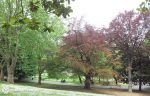parque-arenal-bilbao-furgosfera