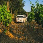 provenza-furgoneta-camper-furgosfera