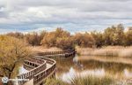 tablas-de-daimiel-almagro