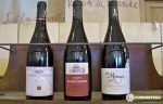 vinos-du-rhone-furgosfera