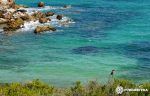 calapudent-playasparaperros-furgosfera