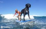 playas-para-ir-con-perros