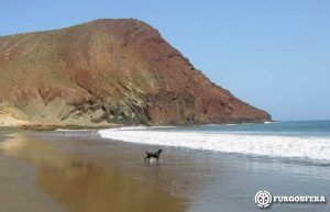 Playas para perros, Tenerife
