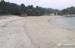 playasparaperros2-furgosfera