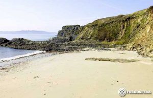 Playas para perros Galicia