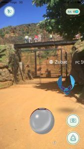 Pokemon en Cabarceno Surf en furgo