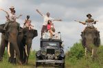 Elephants in Sumatra
