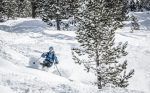 nievecarlosrodriguez