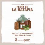 41487173_2093424284009925_9186798221370851328_n copia