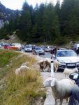 Eslovenia-en-furgo-22-furgosfera