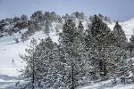 nieve-furgo-furgosfera-5