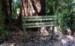 Australia-TripletFalls-furgosfera