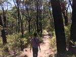Australia-bosque-furgosfera