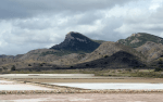 salinas-rasall