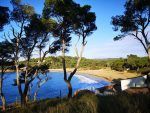 playa-es-castell