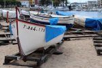 barcas-palamos