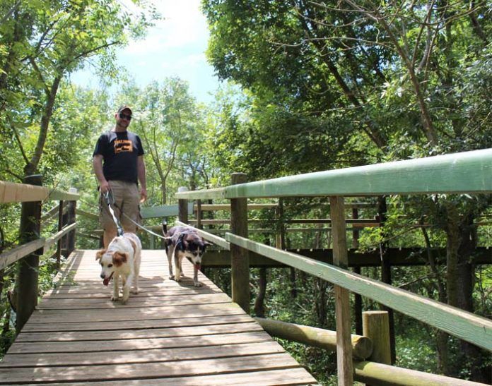 ruta por els aiguamolls de l'empordà