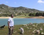 pantano-de-pena-perros
