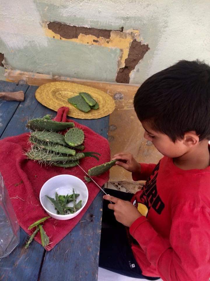 pelando nopal