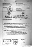 CDP  articulo
