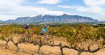 Cicloturismo entre viñedos en la Anoia – M. Castellet