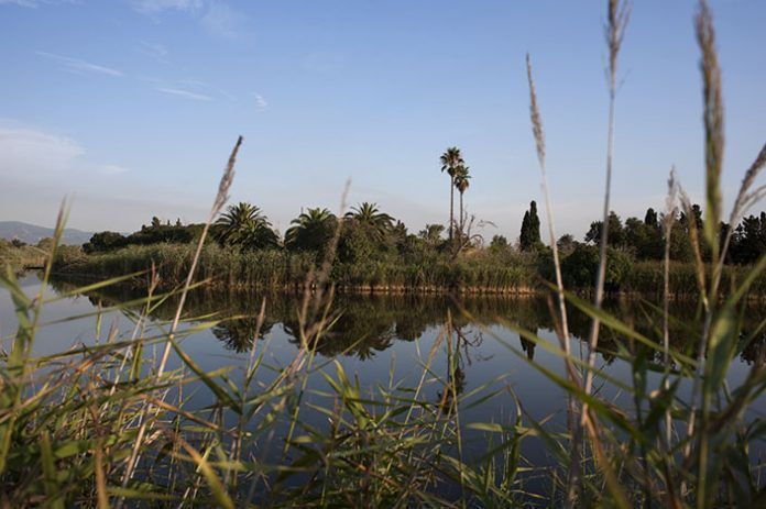 Espacio Natural del Delta del Llobregat - Josep Cano - Diputación de Barcelona Espacio Natural del Delta del Llobregat