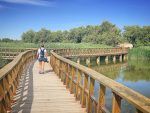 Tablas Daimiel_2