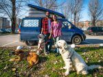 una-furgoneta-dos-anos-tres-perros-4
