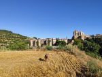 Monestir-Vallbona