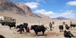 Vuelta al mundo en camión camper: Ana Huertas y Evaristo Torres